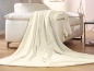 Preview: Mikroflauschdecke DENVER 180x220cm, 220x240cm, VE6