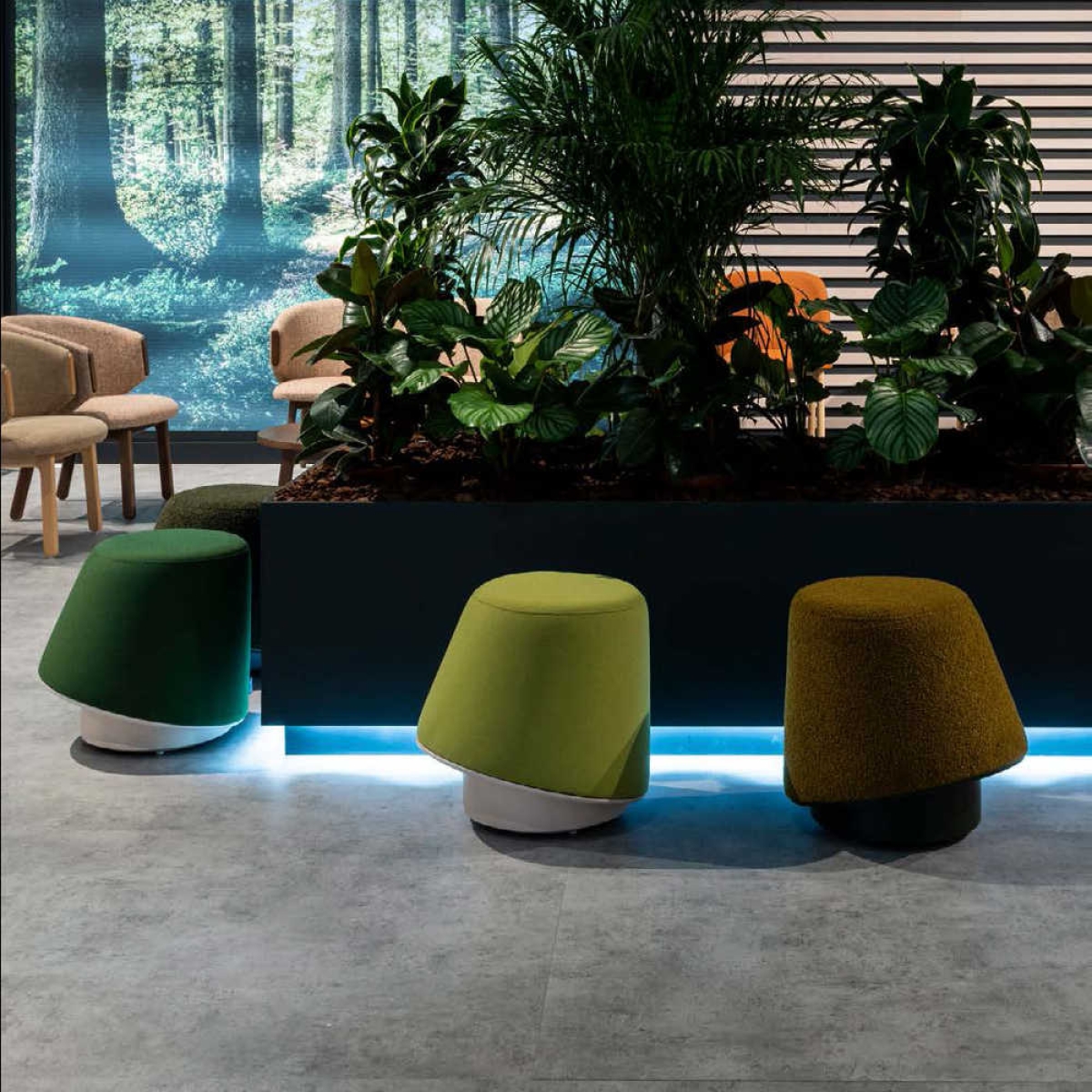 CASSALLO® Design-Sitzhocker BUZZ