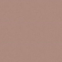Jersey Elastic - 542 toffee