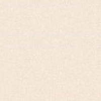 Jersey Elastic - 545 creme