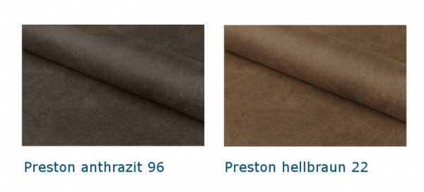 Freischwinger AOSTA mit Armlehne Stoff Preston, VE4