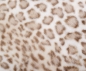 Mobile Preview: hantermann deutschland dekokissen sibirischer schneeleopard